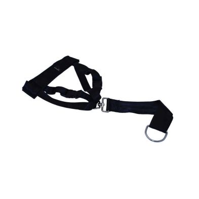 See more information about the Pet Gear Dog Harness Jumbo